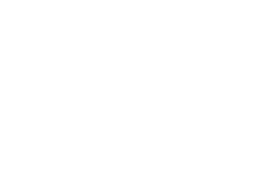 NPS International